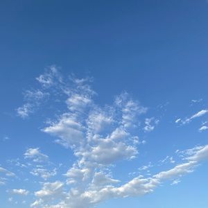 Meet your Posher, Lucienne